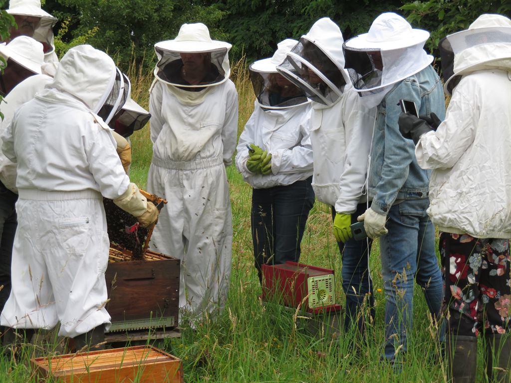 2021 07 abeilles 12